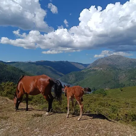 Story - Piscina & Sauna - Lareira * アルコス・デ・ヴァルデヴェス