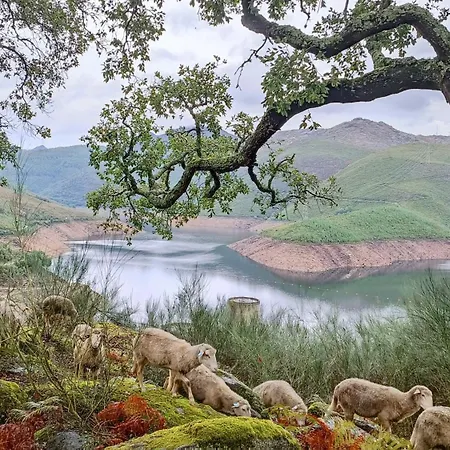 Story - Piscina&sauna - Lareira Casa vacanze