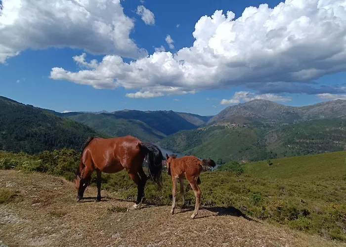 Story - Piscina&sauna - Lareira * Arcos de Valdevez