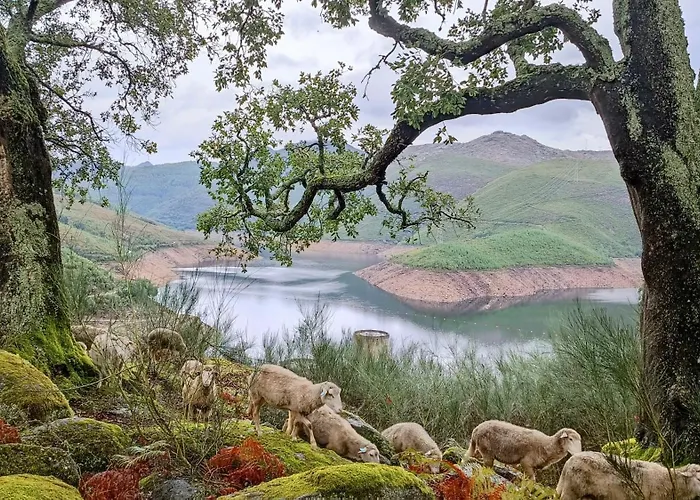 Story - Lareira & Sauna - Piscina Prázdninový dům